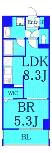 ベイビュー菊名【2階】の間取り