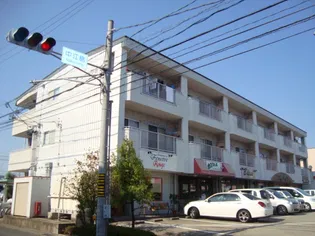 ラヴィータ白子の画像