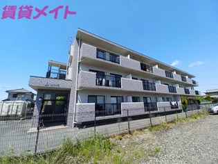 L MIOREの画像
