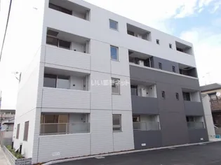 プラシードの画像