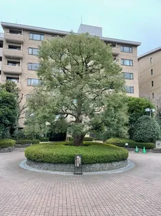 広尾ガーデンヒルズM棟の画像