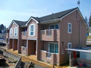 新潟県上越市大字飯【アパート】の外観