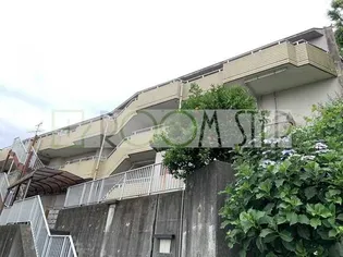 スターダスト向ヶ丘A棟【3階】の外観