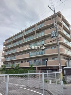 カサベルデ中百舌鳥の画像