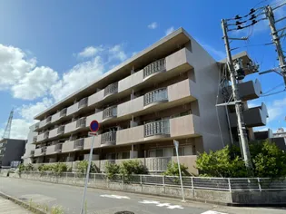 マ メゾンの画像