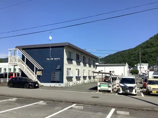 フローラル ルピナスの画像