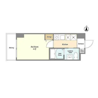 グリーンリーフ新綱島【6階】の間取り