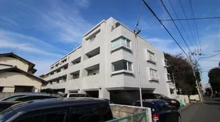 セザール柏の画像