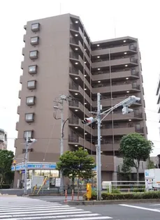 サンフラワー第6の画像
