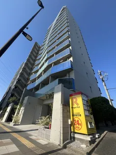 THE WAVESの画像
