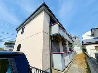 サンフラワーの画像