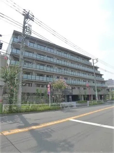 パティーナ東武練馬【4階】の外観