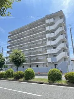 IL VIALE(イル ヴィアーレ)【6階】の外観