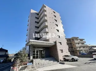 ホワイトライトの画像