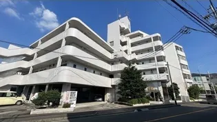 パール25の画像