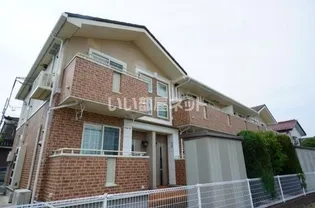 サン ネットの画像