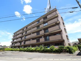 エクセル天王の画像