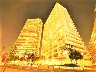 コットンハーバータワーズシーウエストの画像