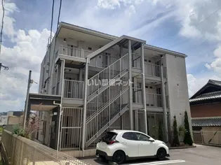 グラツィオーソの画像