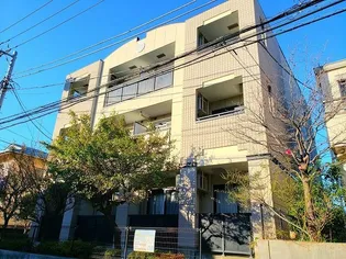 ステラニテオの画像