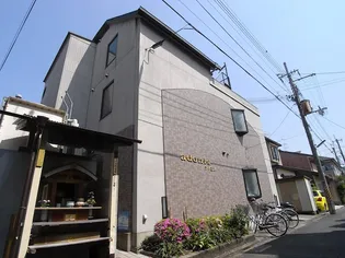 アドニスの画像