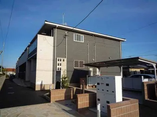 プリムラの画像