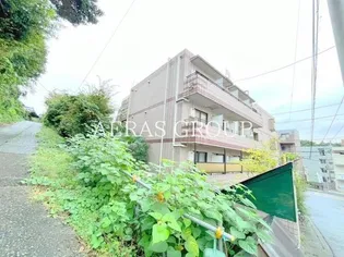 カサデシライIの画像
