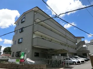 アヴァンツァーレG Mの画像
