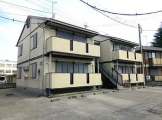 サンライズひまわりの画像