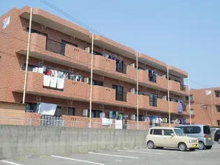 ジェネシス大島(3DK)【3階】の地図