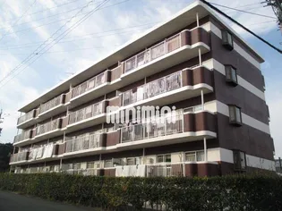 ベルジェームの画像