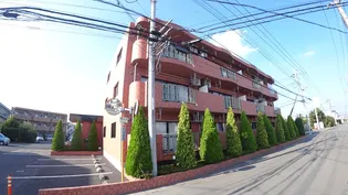 バルパレーエスト【2階】の外観