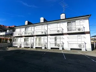 ピュアグレースIIの画像