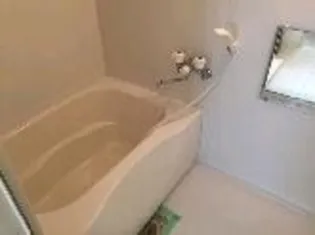 パラッツォ・アルディート【5階】の風呂