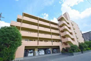 レーゼンハイムIIの画像