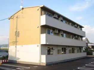 広島県東広島市西条町下見【アパート】の外観