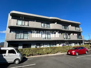 美フィリアの画像