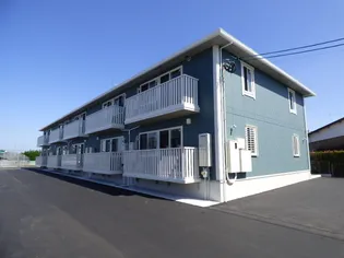 ルピナアサイの画像