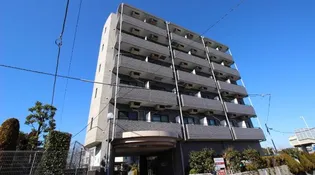 コートスカイブルーの画像