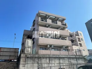 シャルマンの画像