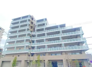 ジェイグラン羽衣の画像