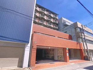 ドルチェの画像