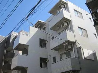 コアオリベの画像