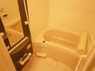 コスモポリタン【1階】の風呂