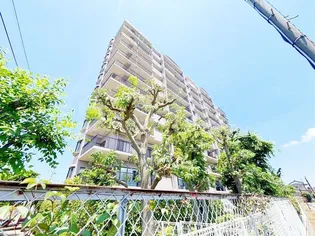 コスモ柏セランス【8階】の外観