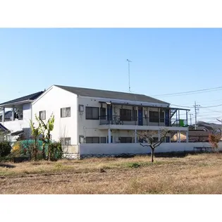 ペニーレインの画像