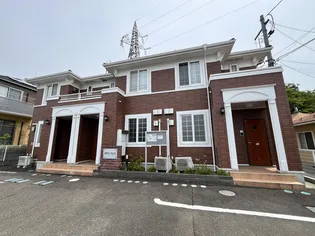 ネオサニーフォレストの画像