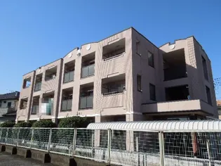 プリムローズの画像