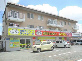 ウィステリアの画像