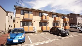 アムールの画像